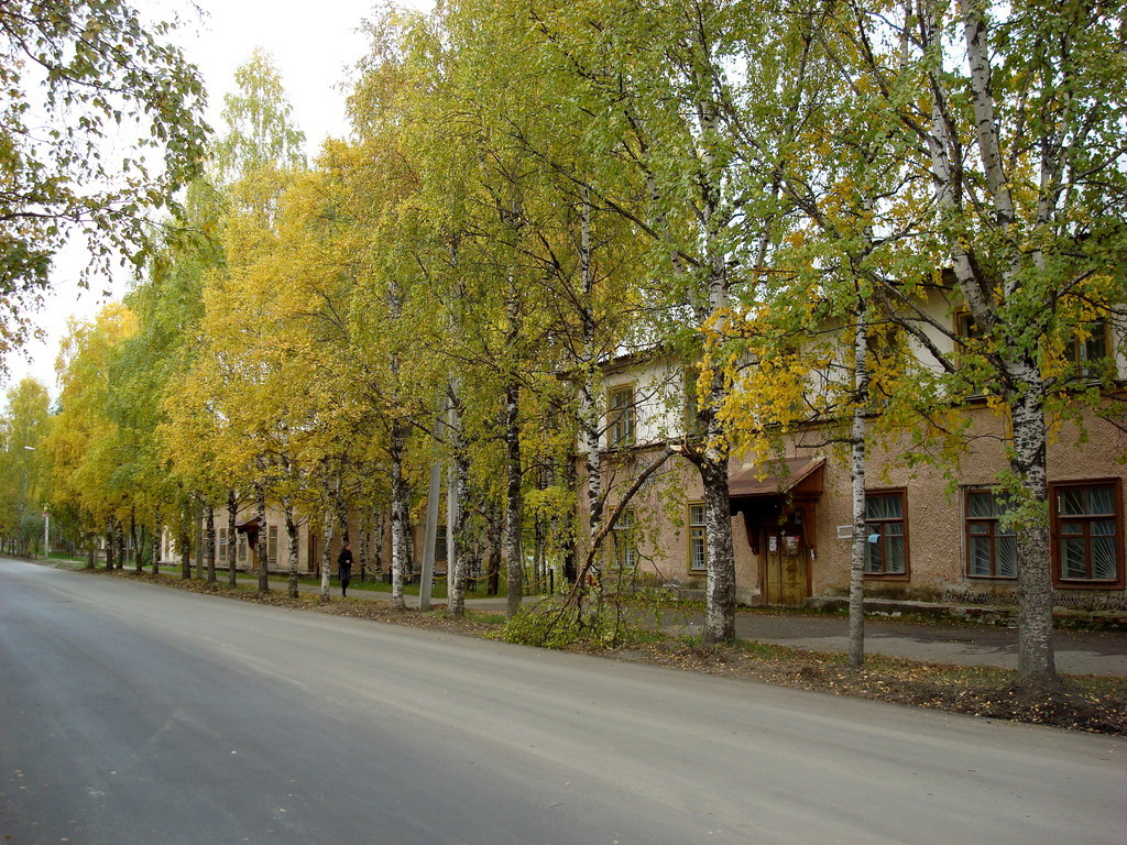 Фото улицы первомайской. Ухта улицы. Улица Первомайская Ухта. Ухта улицы города. Улица Ухтинская Ухта.