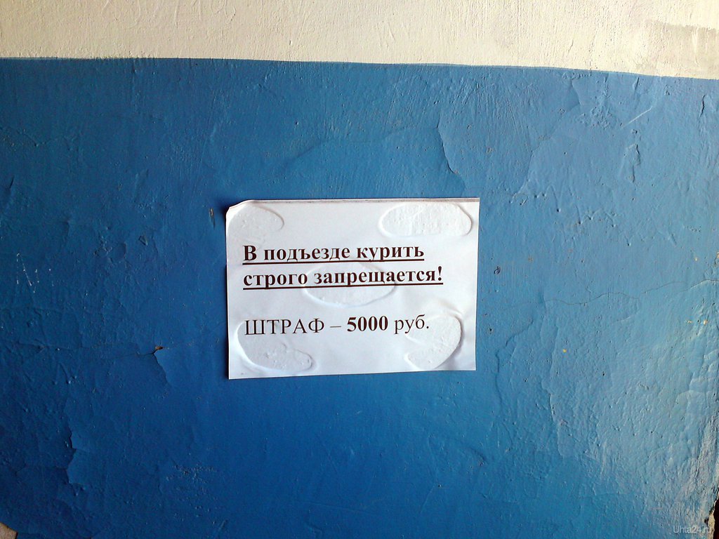 Объявление в подъезде. Прикольные надписи в подъездах. Вывеска подъезд. Объявления в подъезде. Смешные надписи в подъездах.