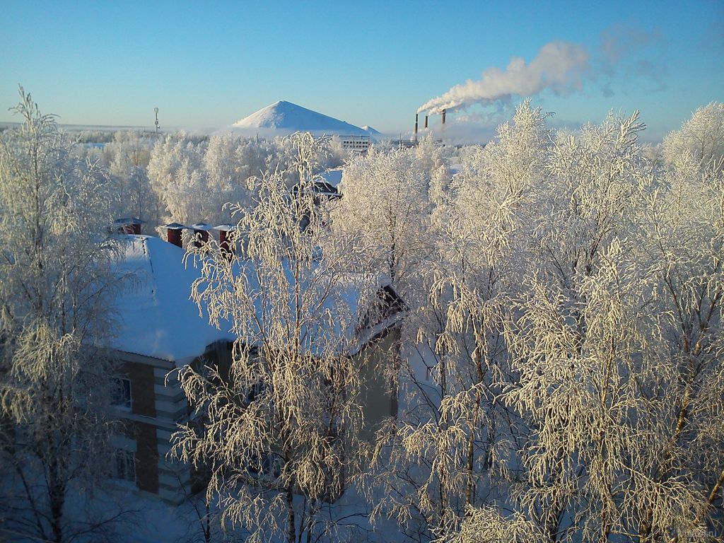 Фото ярега республика коми