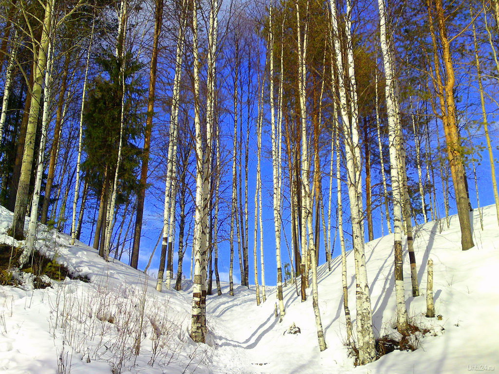 Весна в сыктывкаре картинки