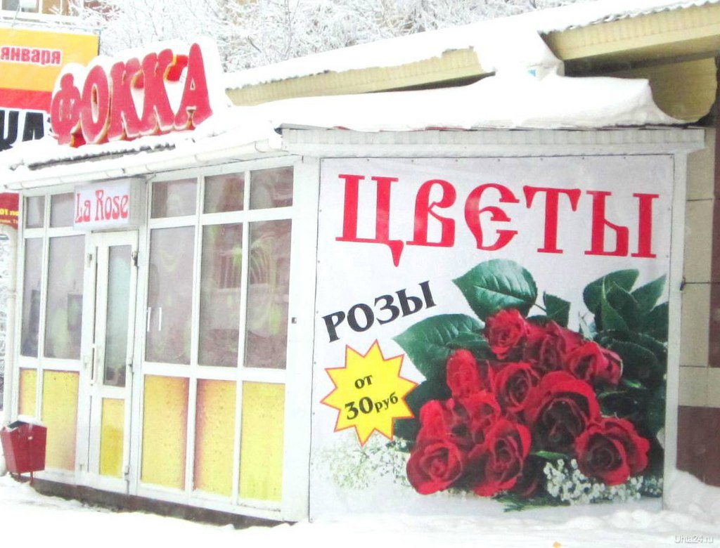 Цветочный магазин температура. Баннер цветочного магазина. Вывеска цветочного магазина. Реклама цветочного магазина. Реклама цветочного магазина баннер.