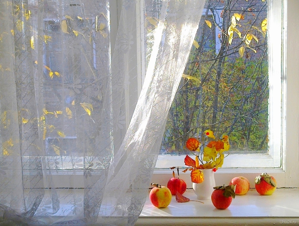 Утро стучит в окно. Осеннее окно. Окно осень. Осень за окном. Осенний вид из окна.