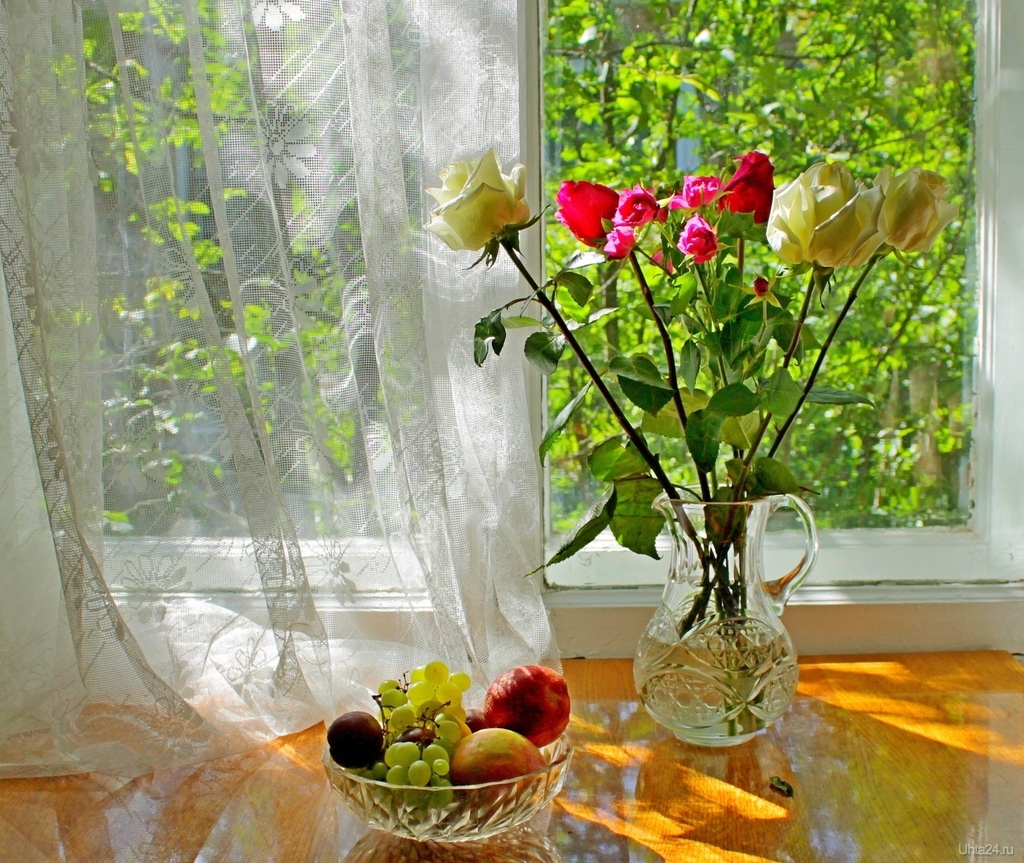 Доброе дождливое утро весны. Цветы на окне. Осенние цветы на окне. Цветы в вазе на окне. Натюрморт на окне.