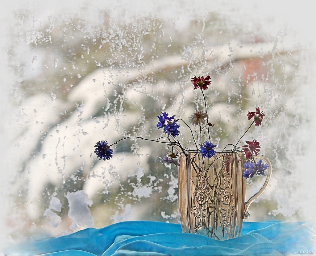 Доброе весеннее утро со снегом. Букет на зимнем окне. Цветы на зимнем окне. Цветы зимой. Цветы на заснеженном окне.