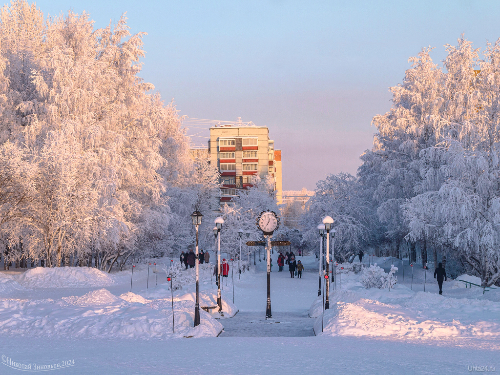 Снег ник