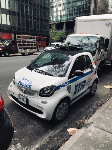 NYPD   